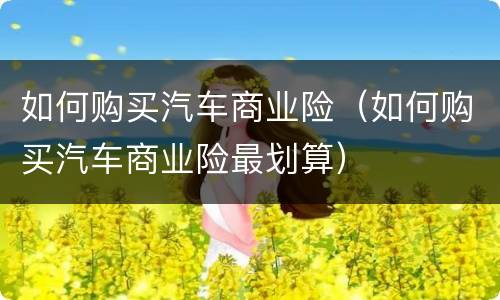 如何购买汽车商业险（如何购买汽车商业险最划算）