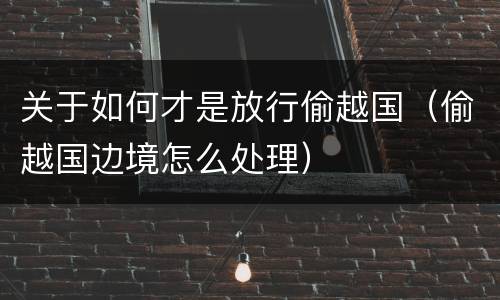 关于如何才是放行偷越国（偷越国边境怎么处理）