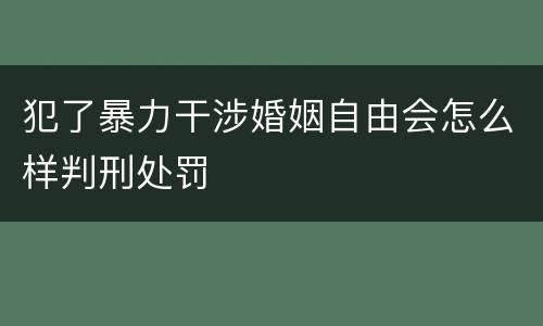 犯了暴力干涉婚姻自由会怎么样判刑处罚