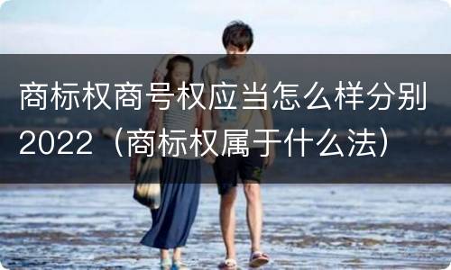 商标权商号权应当怎么样分别2022（商标权属于什么法）