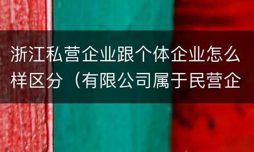 浙江私营企业跟个体企业怎么样区分（有限公司属于民营企业还是私企还是个体）