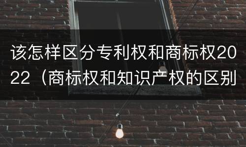 该怎样区分专利权和商标权2022（商标权和知识产权的区别）