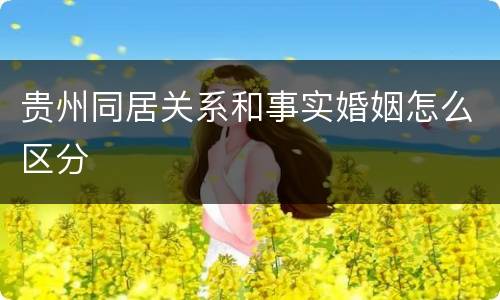 贵州同居关系和事实婚姻怎么区分