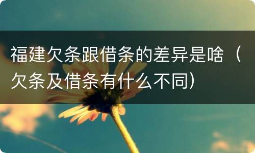 福建欠条跟借条的差异是啥（欠条及借条有什么不同）