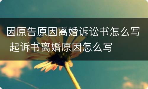 因原告原因离婚诉讼书怎么写 起诉书离婚原因怎么写