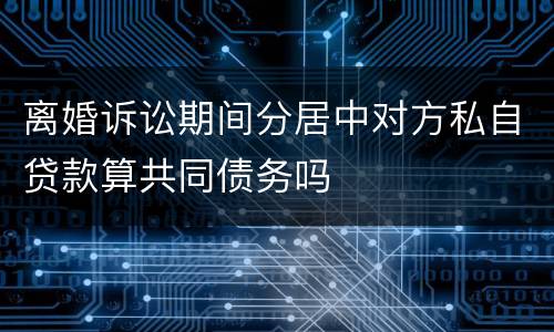 离婚诉讼期间分居中对方私自贷款算共同债务吗