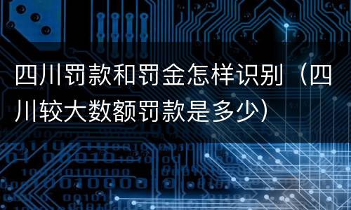 四川罚款和罚金怎样识别（四川较大数额罚款是多少）