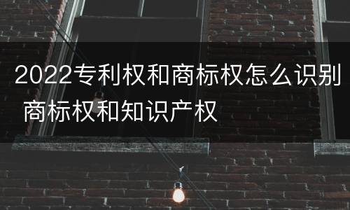 2022专利权和商标权怎么识别 商标权和知识产权