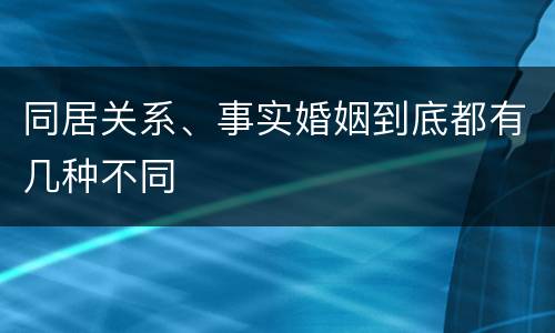 同居关系、事实婚姻到底都有几种不同