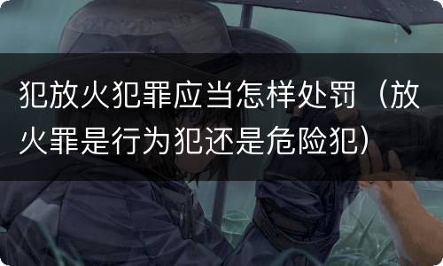 犯放火犯罪应当怎样处罚（放火罪是行为犯还是危险犯）