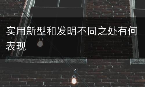 实用新型和发明不同之处有何表现