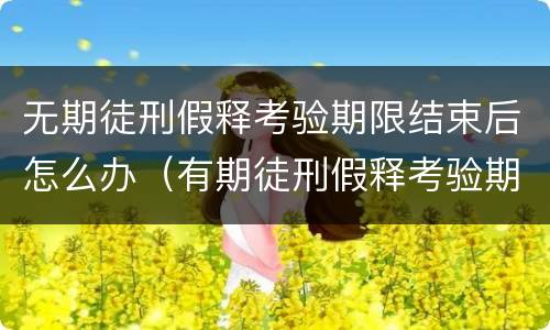 无期徒刑假释考验期限结束后怎么办（有期徒刑假释考验期限）