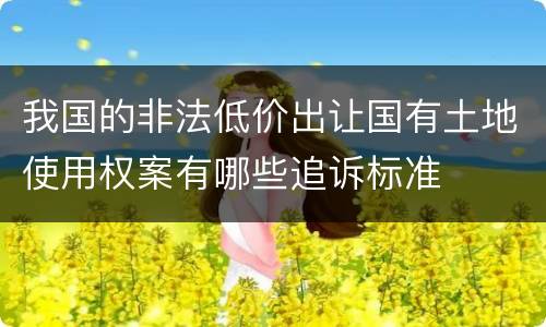 我国的非法低价出让国有土地使用权案有哪些追诉标准