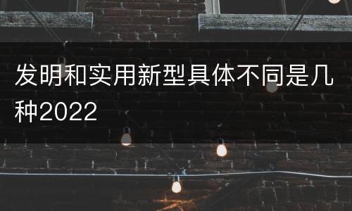 发明和实用新型具体不同是几种2022