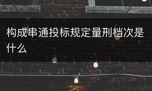 构成串通投标规定量刑档次是什么