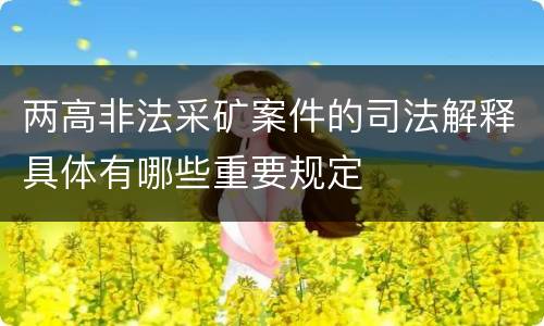 两高非法采矿案件的司法解释具体有哪些重要规定