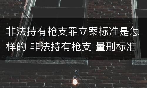 非法持有枪支罪立案标准是怎样的 非法持有枪支 量刑标准