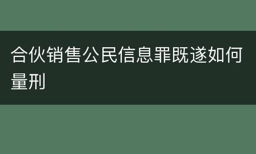 合伙销售公民信息罪既遂如何量刑