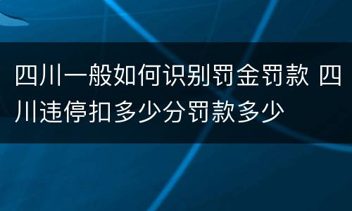 四川一般如何识别罚金罚款 四川违停扣多少分罚款多少