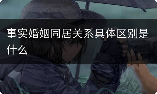 事实婚姻同居关系具体区别是什么