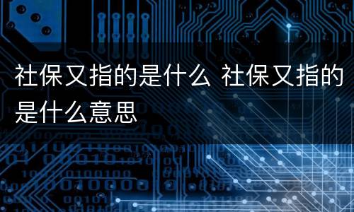 社保又指的是什么 社保又指的是什么意思