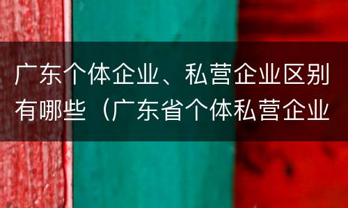 广东个体企业、私营企业区别有哪些（广东省个体私营企业）