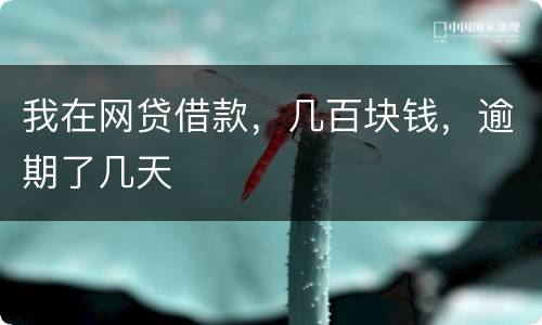 我在网贷借款，几百块钱，逾期了几天