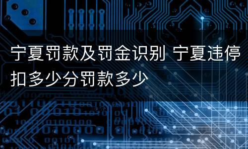 宁夏罚款及罚金识别 宁夏违停扣多少分罚款多少