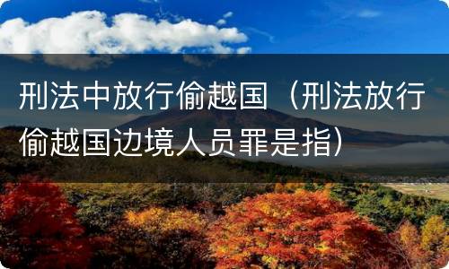 刑法中放行偷越国（刑法放行偷越国边境人员罪是指）
