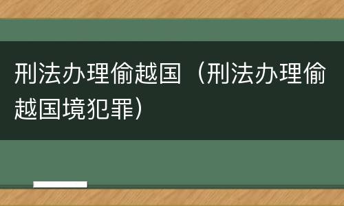 刑法办理偷越国（刑法办理偷越国境犯罪）