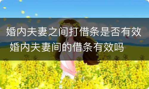 婚内夫妻之间打借条是否有效 婚内夫妻间的借条有效吗