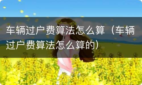 车辆过户费算法怎么算（车辆过户费算法怎么算的）