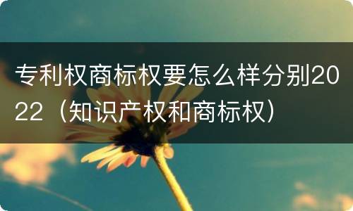 专利权商标权要怎么样分别2022（知识产权和商标权）