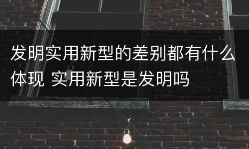 发明实用新型的差别都有什么体现 实用新型是发明吗
