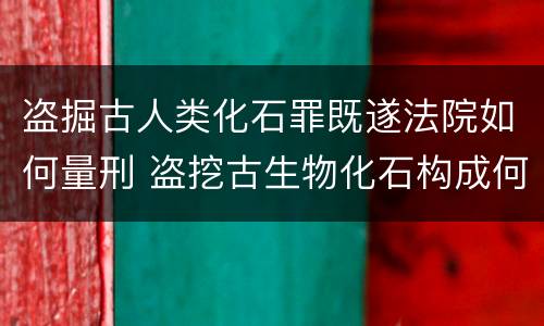 盗掘古人类化石罪既遂法院如何量刑 盗挖古生物化石构成何罪