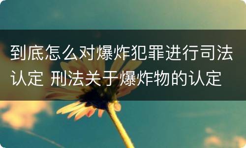 到底怎么对爆炸犯罪进行司法认定 刑法关于爆炸物的认定