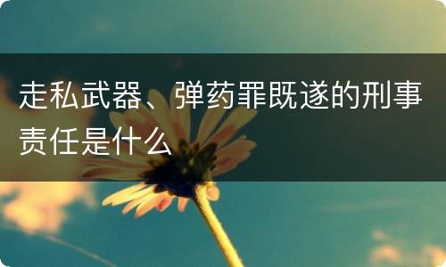 走私武器、弹药罪既遂的刑事责任是什么