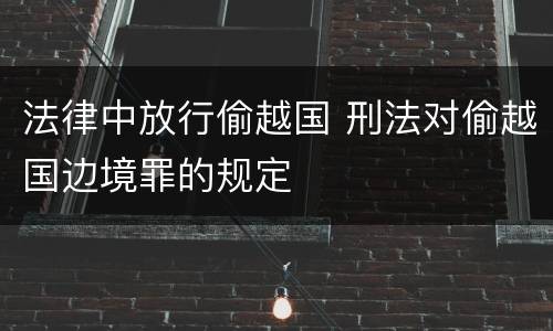 法律中放行偷越国 刑法对偷越国边境罪的规定