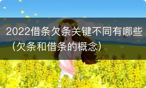 2022借条欠条关键不同有哪些（欠条和借条的概念）
