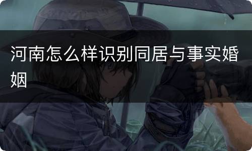 河南怎么样识别同居与事实婚姻