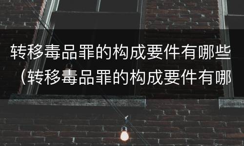 转移毒品罪的构成要件有哪些（转移毒品罪的构成要件有哪些呢）