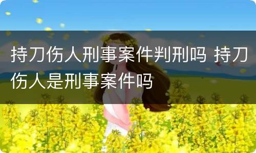 持刀伤人刑事案件判刑吗 持刀伤人是刑事案件吗