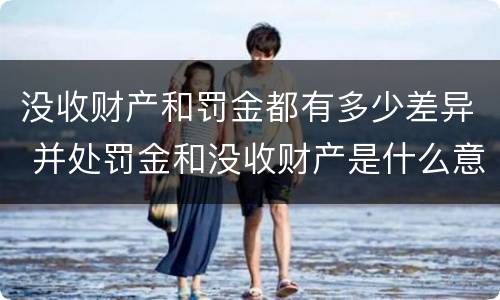 没收财产和罚金都有多少差异 并处罚金和没收财产是什么意思