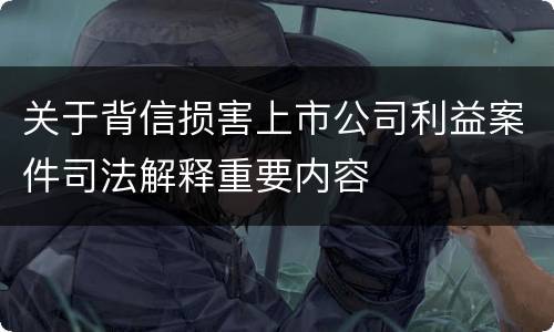 关于背信损害上市公司利益案件司法解释重要内容