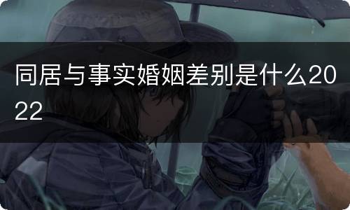 同居与事实婚姻差别是什么2022