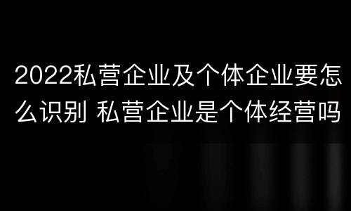 2022私营企业及个体企业要怎么识别 私营企业是个体经营吗
