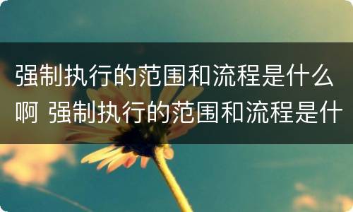 强制执行的范围和流程是什么啊 强制执行的范围和流程是什么啊怎么写