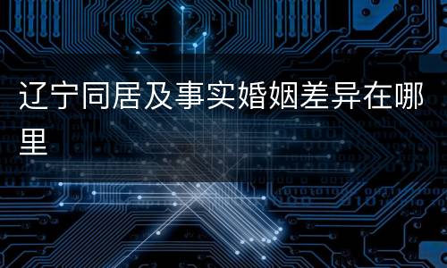 辽宁同居及事实婚姻差异在哪里