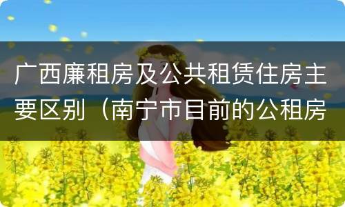 广西廉租房及公共租赁住房主要区别（南宁市目前的公租房与廉租房的区别）