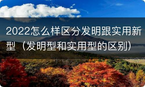 2022怎么样区分发明跟实用新型（发明型和实用型的区别）